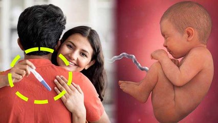 Download Video: Garbh Theharne Ke Kitne Din Baad Pata Chalta Hai | Period Ke Kitne Din Baad Pregnancy Hoti Hai