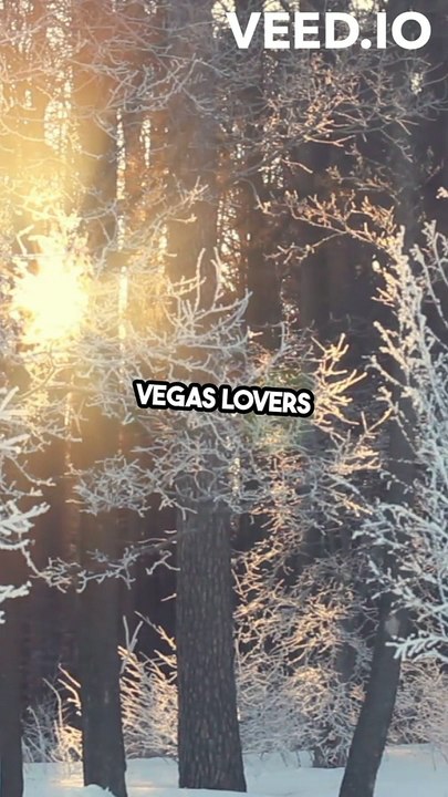 Guide to Vegas Casino