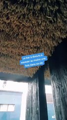 Je test le donuts le plus cher de paris