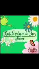 Création du potager #DailySeMetAuVert