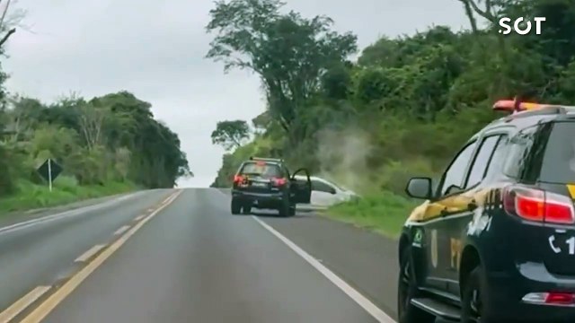 Perseguição policial termina com apreensão de 559 kg de maconha na BR-277 em Laranjeiras do Sul