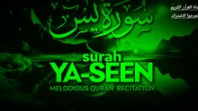 سورة ياسين. القرأن الكريم. Sourate yassine korane karim