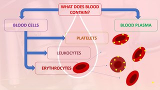 What does blood contain?