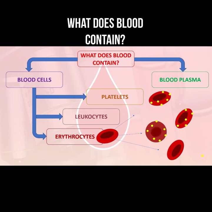 What does blood contain?