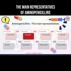 The main representatives of aminopenicillins