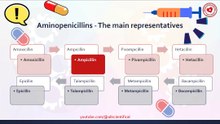 The main representatives of aminopenicillins
