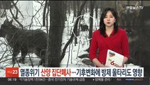 멸종위기 산양 집단폐사…기후변화에 방제용 울타리도 악영향