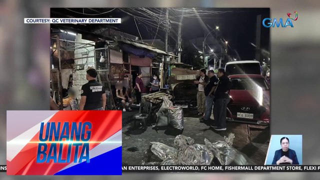 Ilegal na katayan ng baboy sa La Loma, Q.C., ipinasara | UB