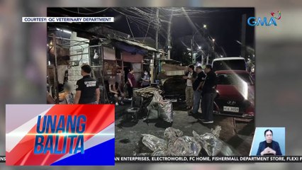 Ilegal na katayan ng baboy sa La Loma, Q.C., ipinasara | UB