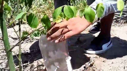 H2fogp: Un proyecto del Dr. José Antonio Samamé Saavedra - Parte 4