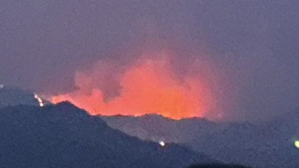 철원 비무장지대 산불 진화 중단...일출 이후 재개 / YTN