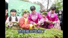 清明时节话清明(五)熊春锦先生老子学院课程