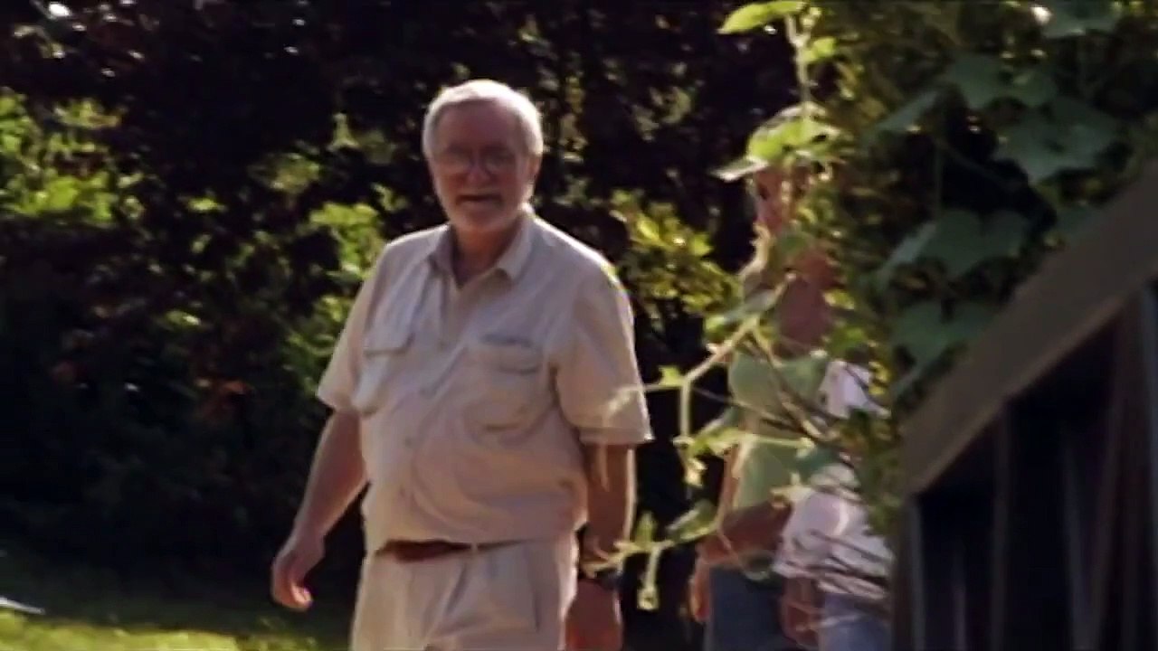 Inflamed Brain Mystery - Mystery Diagnosis - Medical Documentary