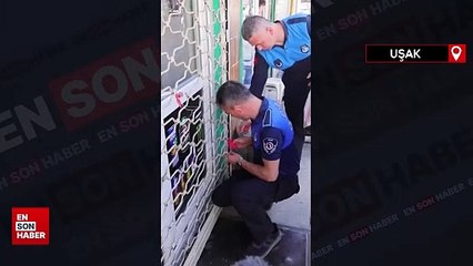 CHP'li Uşak Belediyesi, sığınmacıların dükkanlarını mühürledi