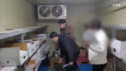 [경기] 경기도 특사경, 불법 행위 학교급식 납품업체 28곳 적발 / YTN