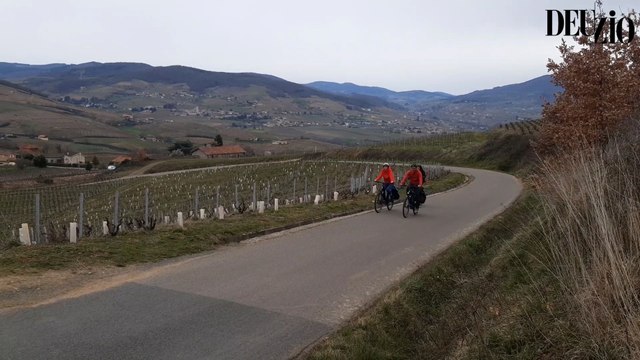 A vélo dans les vignes du Beaujolais
