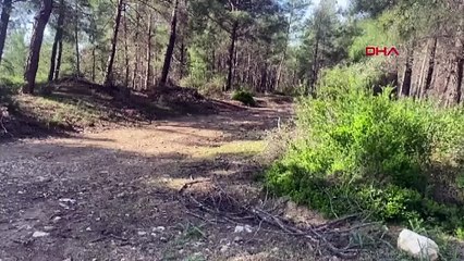 Karısını av tüfeğiyle öldüren kişi intihar etti