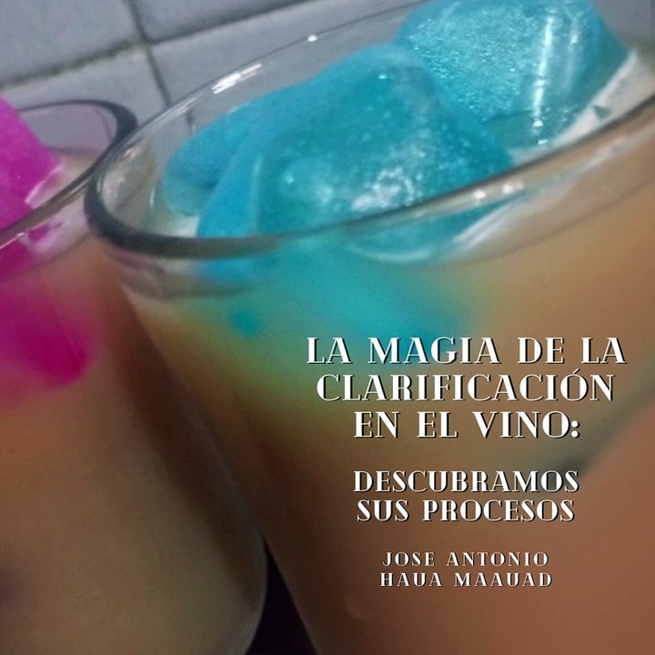 José Antonio Haua Maauad- La magia de la clarificación en el vino: Descubramos sus procesos: