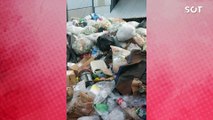 Vereador denuncia abandono do Projeto de Reciclagem no Parque Industrial de Santa Tereza do Oeste