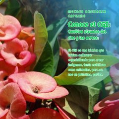 Moises Shemaria Capuano | Cambios Visuales del Cine (Parte 1) (Creado por @MoisesShemariaCapuano)