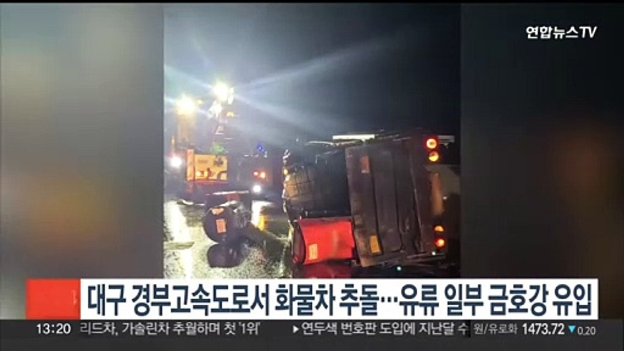 대구 도심에 멧돼지 2마리…사살되거나 차에 치여 숨져
