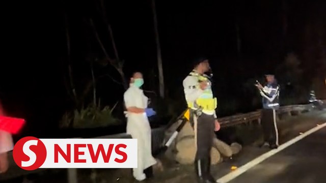 Elephant killed after being hit by SUV on Gerik-Jeli road