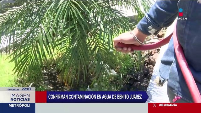 Confirman contaminación de agua en la alcaldía Benito Juárez, CDMX