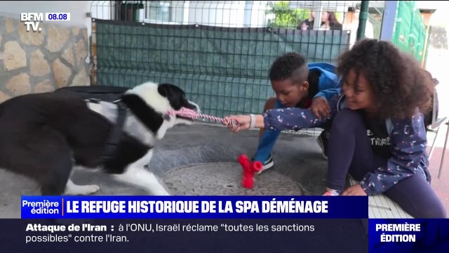 Le refuge historique de la SPA déménage