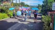 Sainte-Rose : manifestation de soutien  au snack chez Louiso de la Marine, menacé d’expulsion