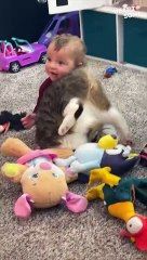 Cat's Hilarious Snuggle Attempt Melts Toddler's Heart
