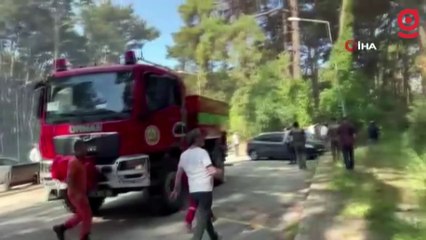 Antalya'da ormanlık alanda yangın