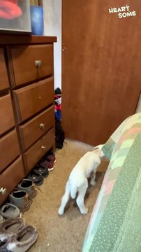 Double the Trouble, Double the Love! Daughter Gets a Puppy... Goat