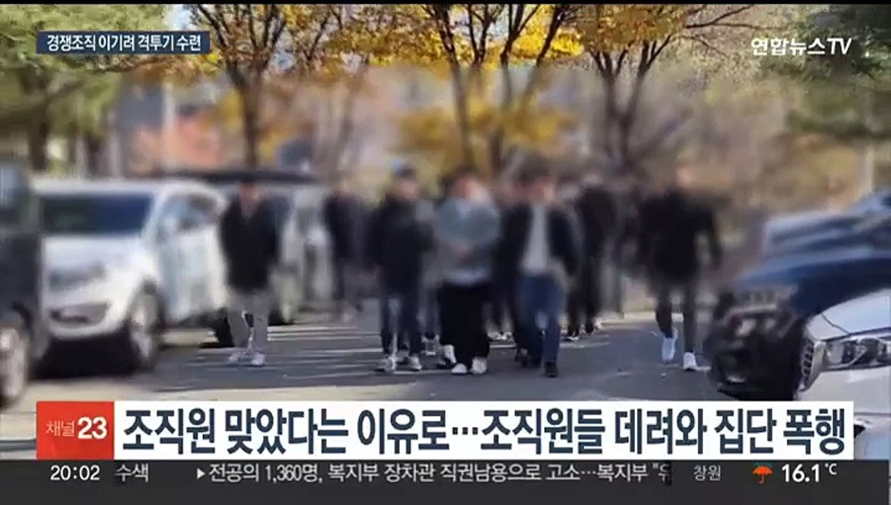 "종합격투기 배워라"…'막무가내' MZ조폭 무더기 검거