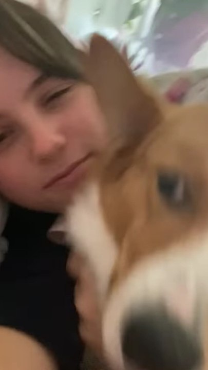 funny dog baby