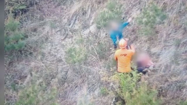 고사리 캐러 갔다가 실종된 80대 ...23분 만에 '드론'이 찾아내 / YTN