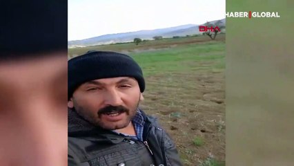 Tarlayı fareler bastı, Ispartalı çiftçi böyle isyan etti: Yanıyorum