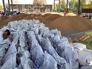 बाजार भाव कम, सरकारी खरीद केंद्रों पर नहीं पहुंच रहे किसान