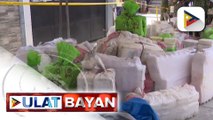 Mahigit P13-B halaga ng iligal na droga, nasabat sa Batangas