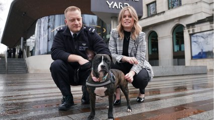 Find out the real reason why the London police is called Scotland Yard