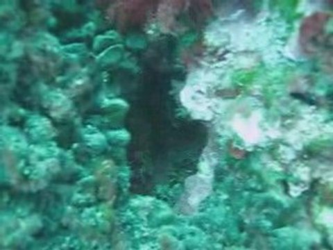 Plongée passion à Carry Le Rouet en mars