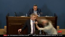 Gürcistan'da mecliste yumruklu kavga