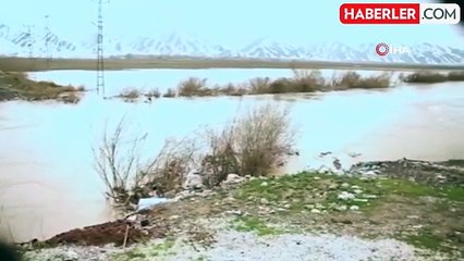 Yağışlar sonrası Yüksekova'nın ovası göle döndü