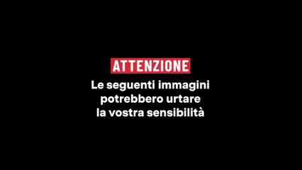Georgia, preso a pugni il leader della maggioranza in Parlamento