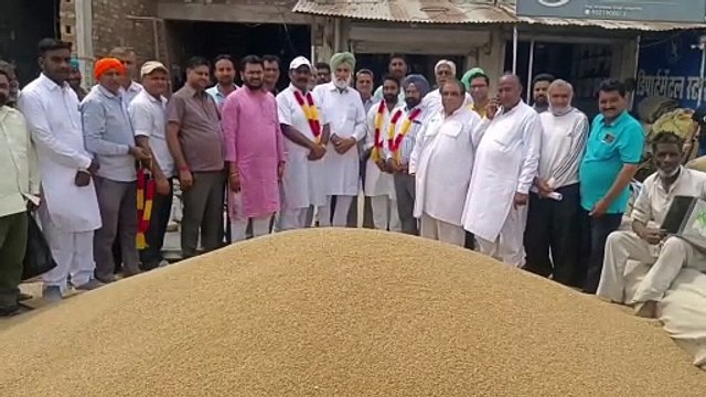 गेहूं की समर्थन मूल्य पर खरीद शुरू, प्रथम दिन 100 थैलों की हुई खरीद