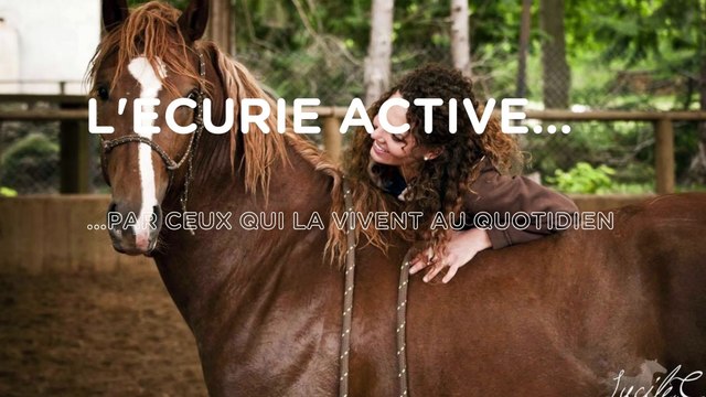 Morgane POKOIK- écurie active HARAS DE VEZU