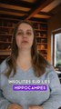 5 infos insolites sur les hippocampes