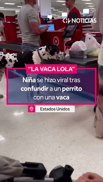 ¡UNA TERNURA! Una niña se hizo viral en las redes sociales tras protagonizar un tierno momento con un perrito. Como se puede ver en el video, la pequeña a ver al can, comienza a cantar “La Vaca Lola”, debid