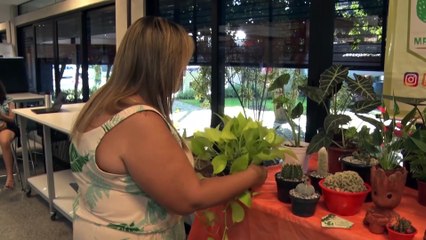 Prazo de declaração do MEI vai até o dia 31 de maio