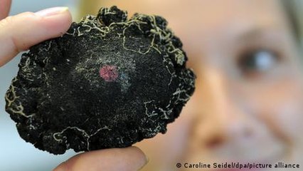 Latvia mulls ban on manganese cargo to Russia