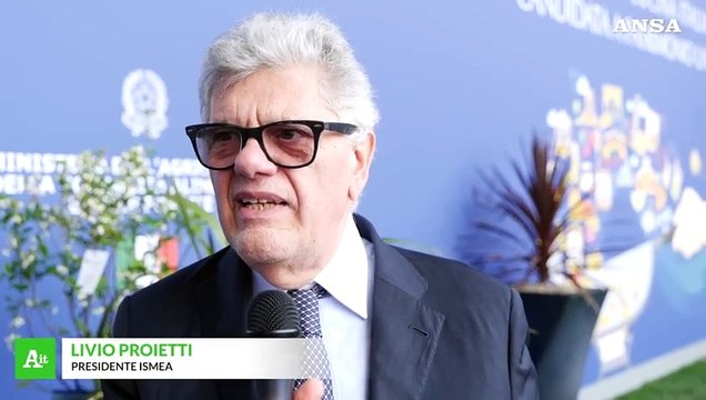 ISMEA, il comparto vinicolo vale un terzo del mercato agricolo assicurato